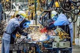 Vietnam: punto brillante en atracción de inversiones extranjeras en ASEAN