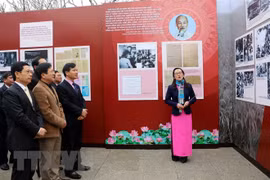 Exposición artística celebra llegada de la primavera y fundación del Partido Comunista de Vietnam