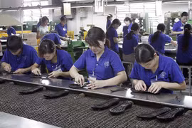 Registra Vietnam este año superávit comercial con Israel