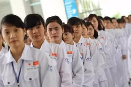 Destacan a Japón y Taiwán scomo los mejores mercados para la mano de obra de Vietnam en 2019