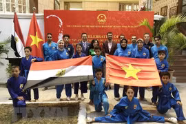Destacan potencialidades de cooperación entre Vietnam y Egipto
