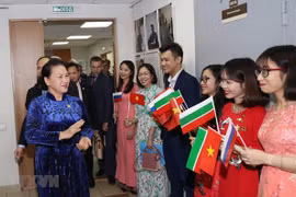 Ratifica la presidenta del Parlamento vietnamita política nacional para atraer talentos