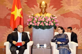 Reitera Vietnam apoyo al proceso constituyente democrático en Venezuela 