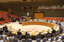 Confía exvicecanciller en elección de Vietnam como miembro de Consejo de Seguridad de la ONU