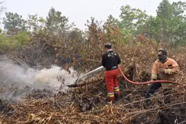  Indonesia cierre aeropuerto y escuelas debido a incendios forestales