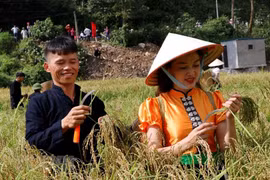 Celebran en Vietnam Festival del Com Tu Le de la etnia Thai