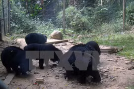 Promueven en Vietnam protección de especies en peligro de extinción