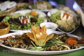 Participa Vietnam en festival solidario en Bélgica