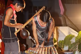 Presentarán en Vietnam instrumentos musicales de etnias nacionales en jornada cultural 