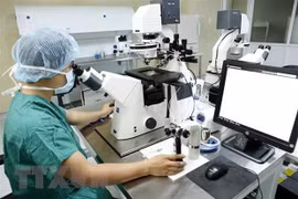 Comparte Vietnam a países asiáticos experiencias en gestión de hospitales 
