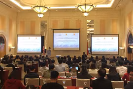 Intercambian en Hanoi sobre intensificación de lucha contra fraude comercial