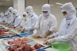 Incrementa Vietnam exportaciones de atún a Estados Unidos