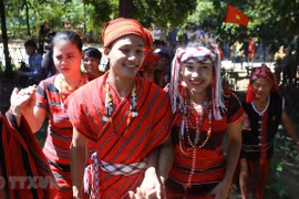 Celebrarán en Vietnam el Festival de Familias 