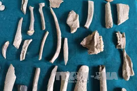 Descubren en provincia vietnamita de Bac Kan huellas de humanos prehistóricos 