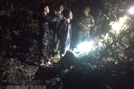 Captura Vietnam narcotraficante laosiano e incauta 294 kilógramos de metanfetamina