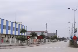 Resaltan expertos atracción de bienes raíces industriales en Vietnam