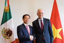  Realizan Vietnam y México quinta consulta política