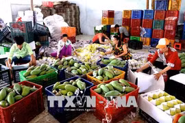 Exportaciones de frutas vietnamitas totalizan 3,85 mil millones de dólares en 2019