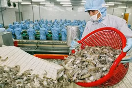 Especialistas pronostican panorama positivo para exportaciones acuáticas de Vietnam a China