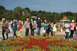 Miss Mundo vietnamita: rostro representante del Festival de Flor de Da Lat 2019