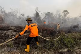 Suspenden varias escuelas en Indonesia actividades por humo de incendios forestales