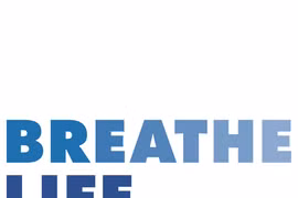 Se incorpora urbe vietnamita a Red de Ciudades de BreatheLife