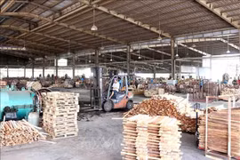 Promoverá TLC con UE el desarrollo sostenible de industria maderera de Vietnam