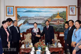 Exhortan a agilizar lazos entre Vientiane y provincias vietnamitas 