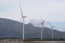Abogan por desarrollar fuentes de energía renovable en provincia vietnamita de Ninh Thuan