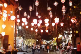 Ciudades de Vietnam y Alemania estrechan cooperación cultural