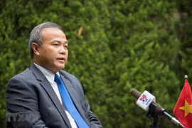  Vietnam participará activamente en Cumbre del G20 en Japón, destaca embajador 
