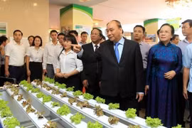 Insta Premier a Hai Phong a ser pionero en modernización rural