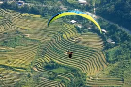 Celebran Festival de Parapente en la provincia vietnamita de Yen Bai