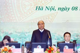 Premier de Vietnam destaca logros del sector de recursos naturales y medio ambiente en 2018