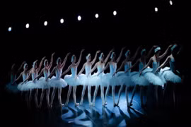 Presentarán artistas vietnamitas obra clásica de ballet “El lago de los cisnes”
