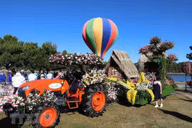 Nutrida participación en Festival de Flores de Da Lat 2019