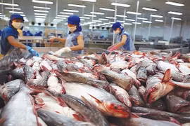 Suben las exportaciones del pescado Tra vietnamita a Malasia