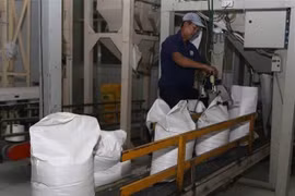 Reducirá Filipinas importaciones de arroz 