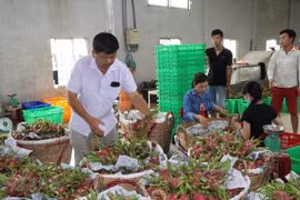 Provincia vietnamita espera incrementar exportaciones agrícolas a China