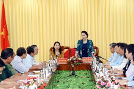 Realiza máxima legisladora vietnamita visita de trabajo a provincia de An Giang 