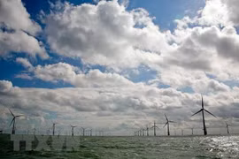 Empresa japonesa apoya a Indonesia en establecimiento de sistema de “energía verde”