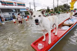Evacuan a decenas de miles de personas por inundaciones en Tailandia