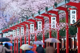 Creció el turismo vietnamita a Japón más de un 40 por ciento en mayo