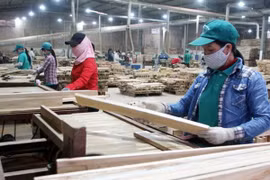 Oportunidades para exportadores vietnamitas en el mercado de Camboya