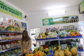 Crecen los precios al consumidor de Vietnam en abril
