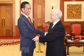 Destacan vigoroso desarrollo de relaciones Vietnam-Indonesia 