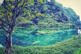 Provincia vietnamita de Ninh Binh por celebrar con éxito el Año de Turismo