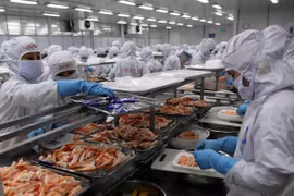 Señal alentadora para exportaciones de Vietnam a China 