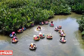 Cam Thanh, tierra de las palmas de agua