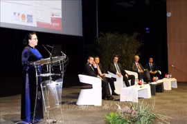 Culmina Conferencia sobre cooperación entre localidades de Vienam y Francia